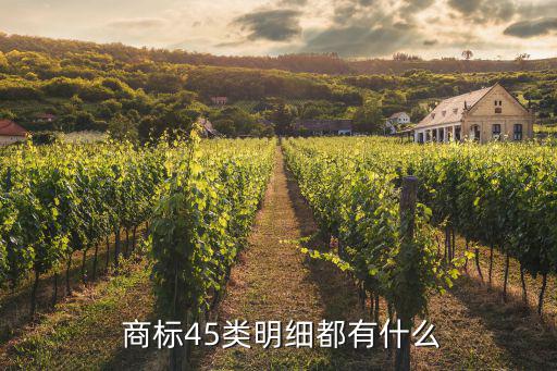  商標(biāo)45類明細(xì)都有什么
