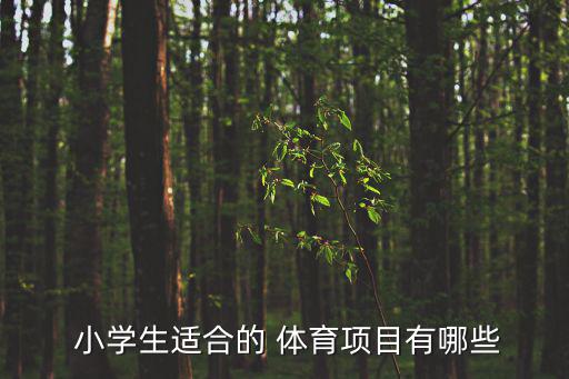  小學(xué)生適合的 體育項目有哪些