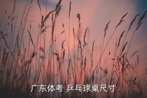 廣東體考 乒乓球桌尺寸