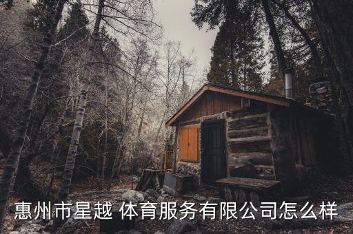 惠州市星越 體育服務有限公司怎么樣