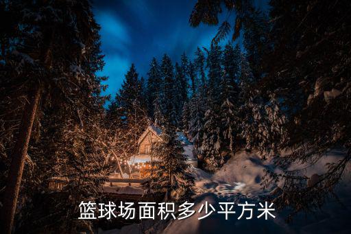 籃球場,一標籃球場占地420平方米標準比賽場地長28米