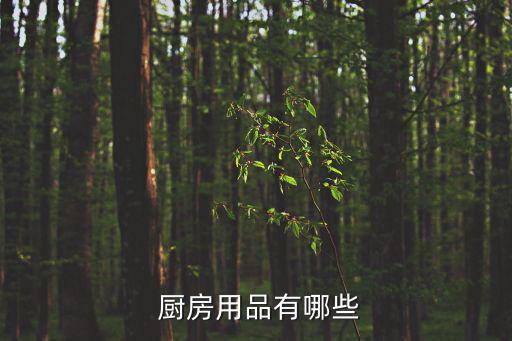  廚房用品有哪些