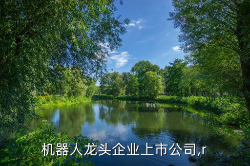 工業(yè)機(jī)器人龍頭企業(yè)上市公司,r
