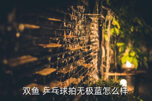 雙魚 乒乓球拍無極藍怎么樣