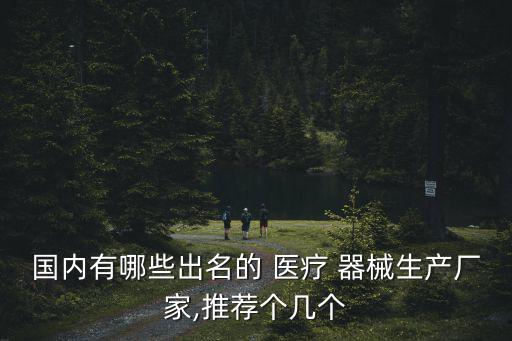 國內有哪些出名的 醫(yī)療 器械生產(chǎn)廠家,推薦個幾個