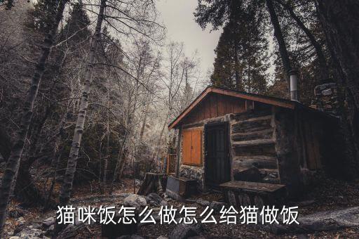 貓咪飯怎么做怎么給貓做飯