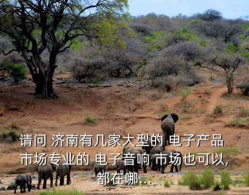 請(qǐng)問(wèn) 濟(jì)南有幾家大型的 電子產(chǎn)品 市場(chǎng)專(zhuān)業(yè)的 電子音響 市場(chǎng)也可以,都在哪...