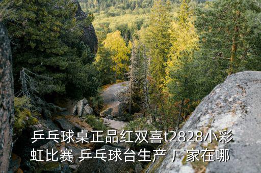  乒乓球桌正品紅雙喜t2828小彩虹比賽 乒乓球臺生產(chǎn) 廠家在哪