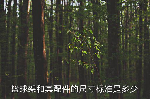 籃球場(chǎng)器材,如何合理充分利用場(chǎng)地器材?