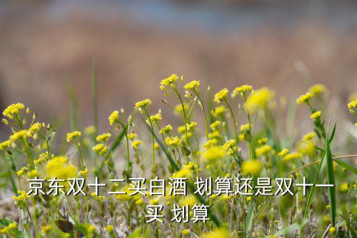  京東雙十二買(mǎi)白酒 劃算還是雙十一買(mǎi) 劃算