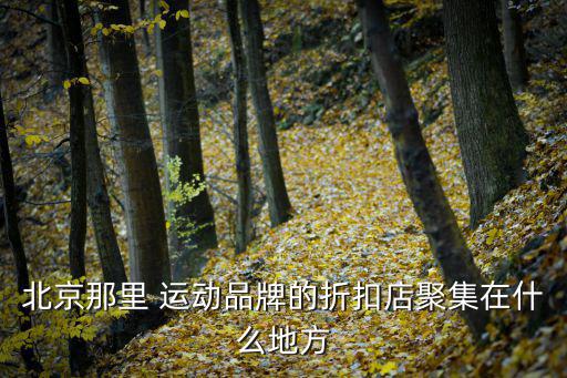 北京那里 運(yùn)動(dòng)品牌的折扣店聚集在什么地方
