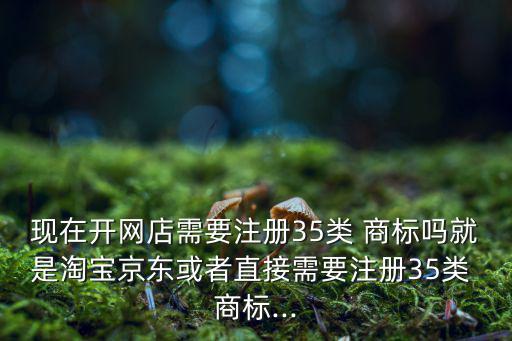 現(xiàn)在開網(wǎng)店需要注冊35類 商標(biāo)嗎就是淘寶京東或者直接需要注冊35類 商標(biāo)...