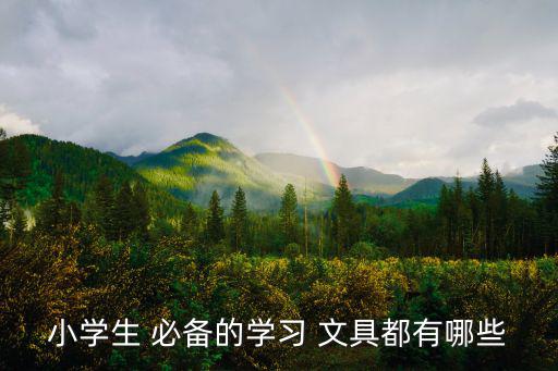 小學(xué)生 必備的學(xué)習(xí) 文具都有哪些