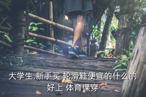 大學生,新手買 輪滑鞋便宜的什么的好上 體育課穿