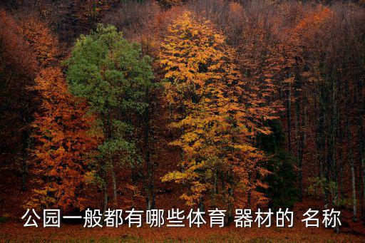 公園一般都有哪些體育 器材的 名稱