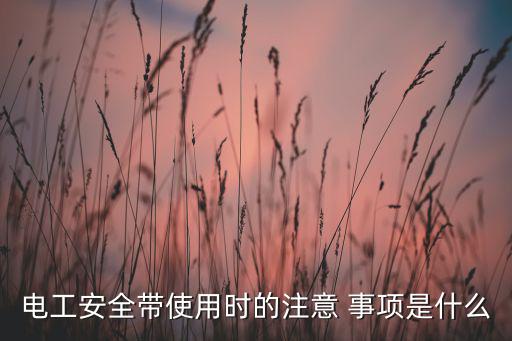電工安全帶使用時的注意 事項是什么