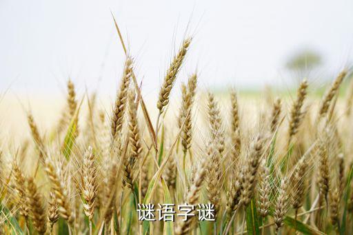 玉樹體育用品店鋪電話多少,猜謎集錦】十字路口紅旗飄彩旗