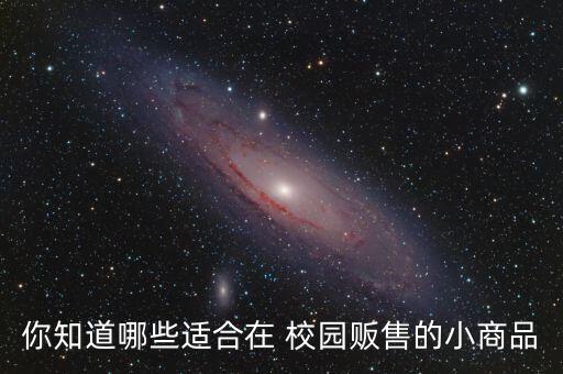 你知道哪些適合在 校園販售的小商品
