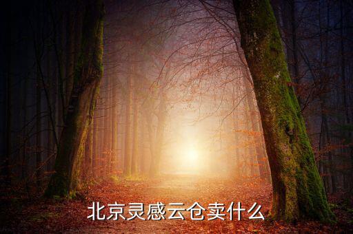 北京靈感云倉賣什么