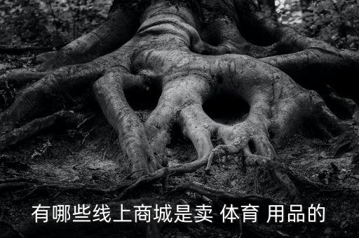 長治市體育用品到哪里買,長隆體育注冊商標(biāo)已在山西北京注冊