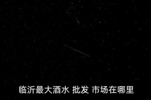  臨沂最大酒水 批發(fā) 市場在哪里