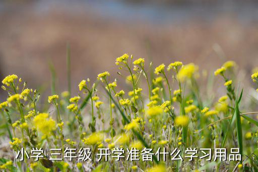 小學(xué) 三年級(jí) 開(kāi)學(xué)準(zhǔn)備什么學(xué)習(xí)用品