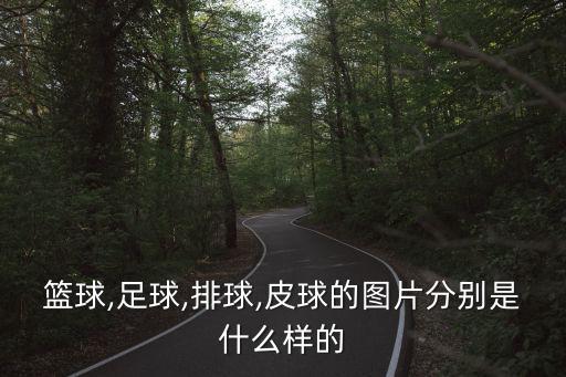 體育用品的球長什么形狀的,立體球和球面的來歷