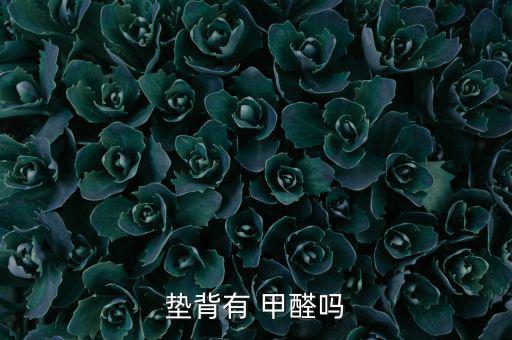 體育訓(xùn)練墊子有甲醛,棕櫚墊不含甲醛可放體育場地做防護墊