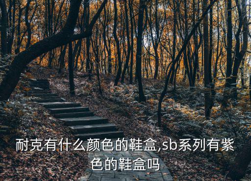 體育用品適合什么顏色,耐克沒有禁忌色可選擇任何顏色鞋盒