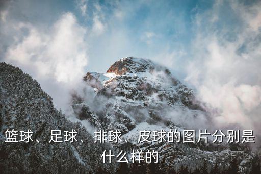 籃球、足球、排球、皮球的圖片分別是什么樣的