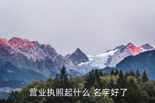 霸氣的營業(yè)執(zhí)照名字,注意事項(xiàng)公司名稱不能隨意使用