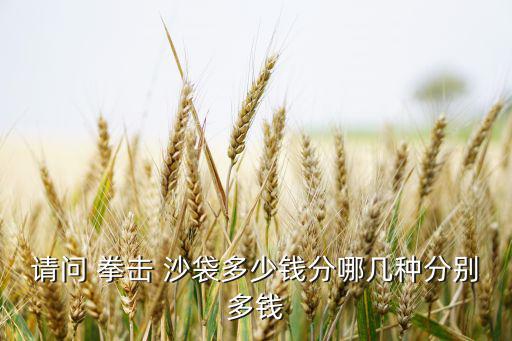 拳擊沙袋子價格,新加坡人自己動手制作泡泡布和沙袋