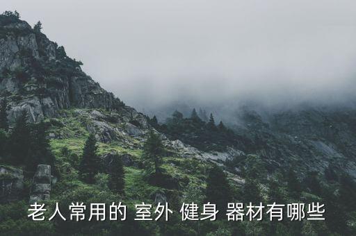 室外健身器材的名稱,公園健身器材知多少?問與答（18）
