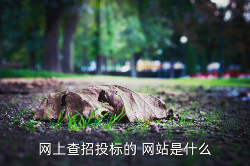 網(wǎng)上查招投標的 網(wǎng)站是什么