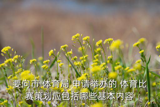 要向市 體育局 申請(qǐng)舉辦的 體育比賽策劃應(yīng)包括哪些基本內(nèi)容