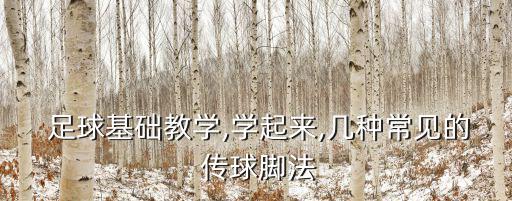  足球基礎(chǔ)教學(xué),學(xué)起來,幾種常見的 傳球腳法