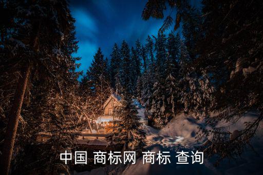 中國 商標網(wǎng) 商標 查詢