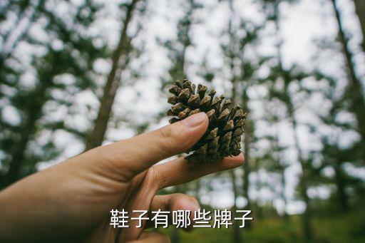 男鞋品牌大全標(biāo)志圖片,耐克品牌匡威和百麗走進(jìn)年輕人休閑生活