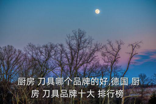  廚房 刀具哪個品牌的好,德國 廚房 刀具品牌十大 排行榜
