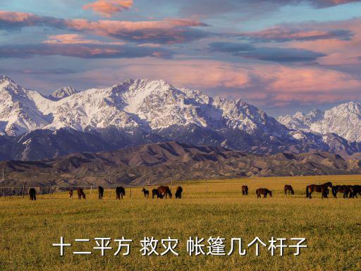 十二平方 救災(zāi) 帳篷幾個桿子