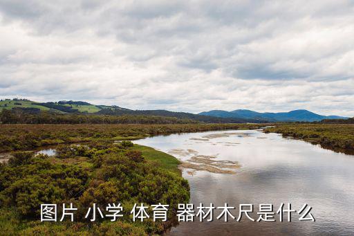 圖片 小學 體育 器材木尺是什么