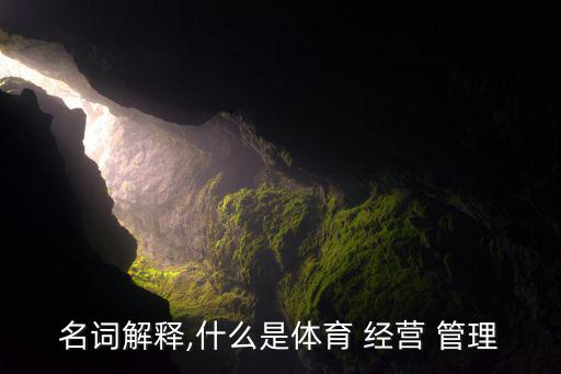名詞解釋,什么是體育 經(jīng)營 管理