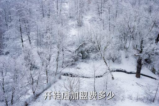 免費(fèi)鋪貨的加盟店鞋子,開(kāi)鞋店需要投入幾十萬(wàn)看看行情和趨勢(shì)