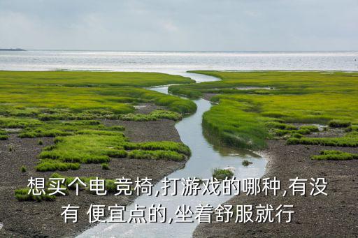 南昌哪里買(mǎi)電競(jìng)椅實(shí)體店便宜,好電競(jìng)椅建議選擇700以上品牌
