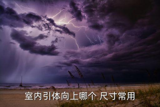 室內(nèi)引體向上哪個 尺寸常用