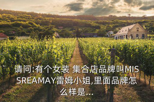 品牌集合店叫什么,上海知名時尚買手店擁50多個國際品牌