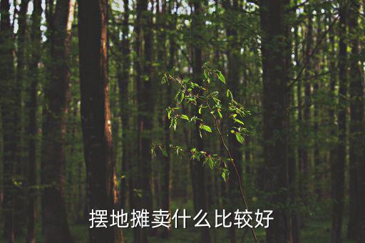 擺地?cái)傎u什么比較好