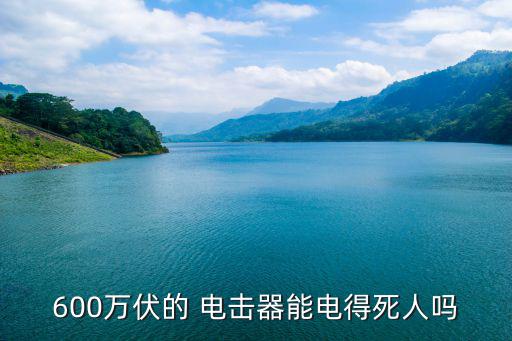 600萬伏的 電擊器能電得死人嗎
