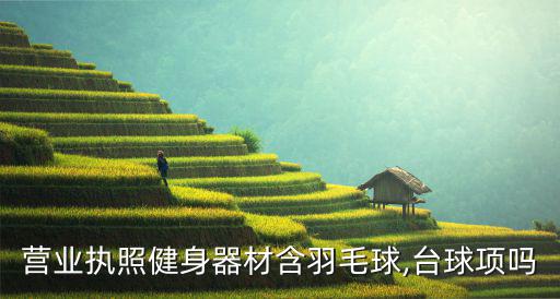 體育用品不含什么,本地企業(yè)從事多項商業(yè)活動的開發(fā)與咨詢業(yè)務