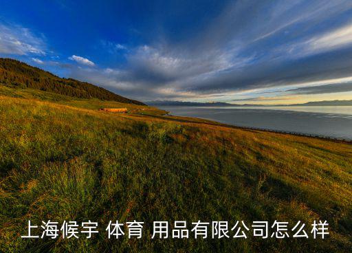 文智文化體育用品怎么樣,中國文化用品信息網(wǎng)分類文化產(chǎn)品
